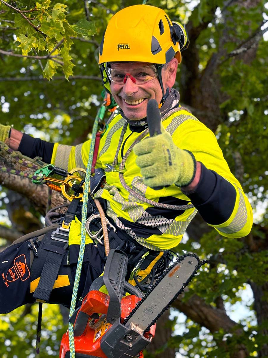 Arborist Stockholm Trädgårdstjänst